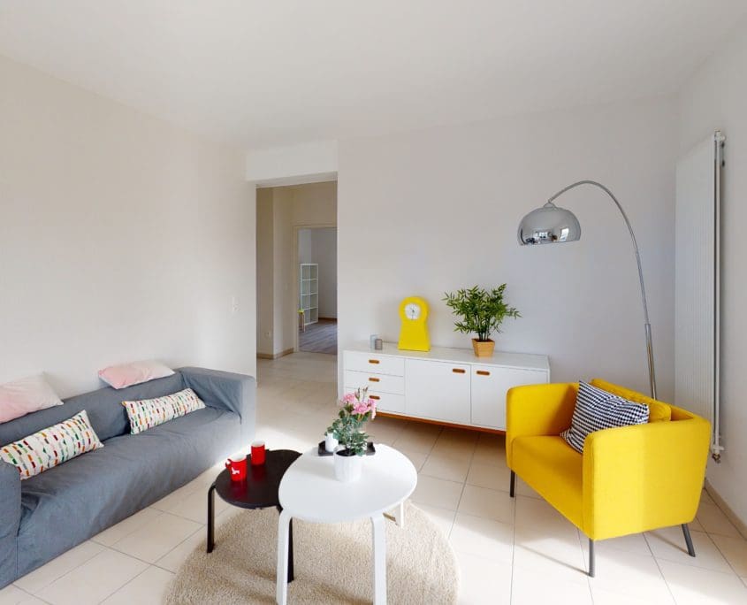 Residence-Canopia-Salon(4)